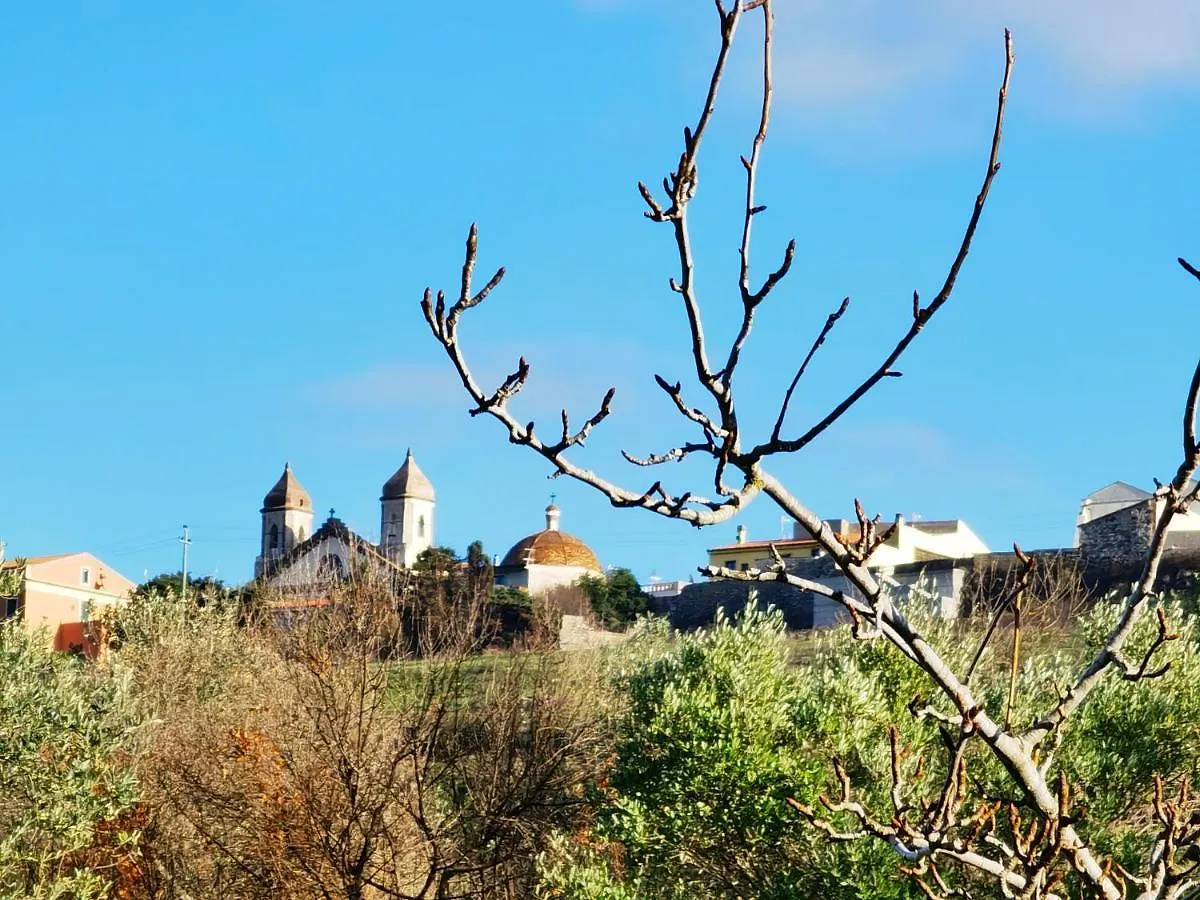 La Corte Degli Ulivi - Albergo Rurale Tresnuraghes